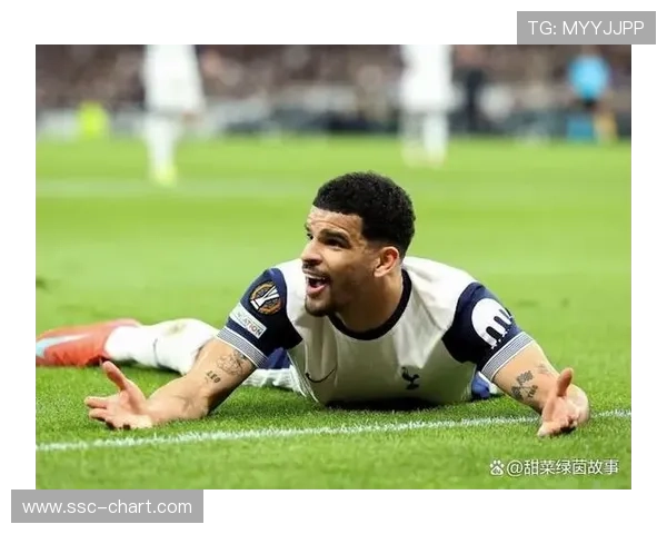 热刺九名一线球员伤缺,麦迪逊复出未定 热刺九名一线球员伤缺,麦迪逊复出未定